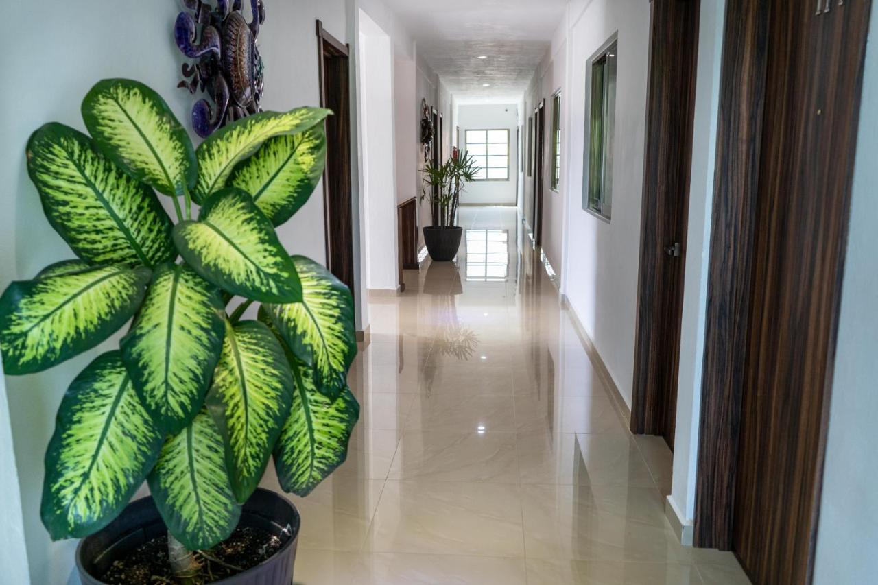 Hotel Casa Maran スプヒル エクステリア 写真
